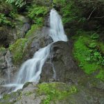 Wynoochee-Lake-Maidenhair-Falls