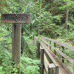 Wynoochee-Lake-Maidenhair-Falls-trail-head