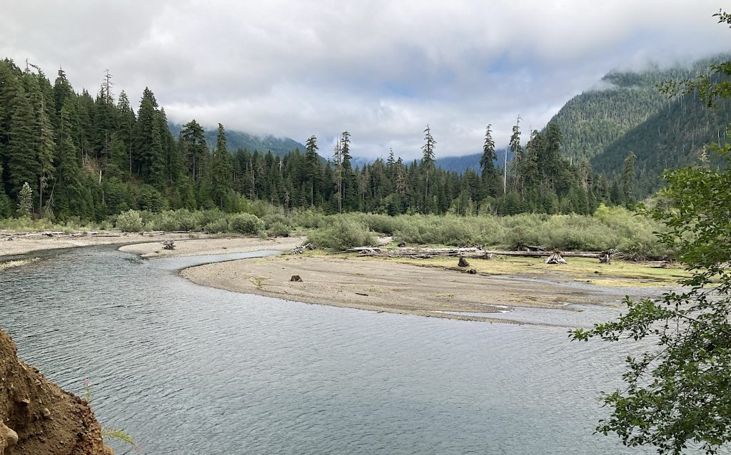 Wynoochee Lake