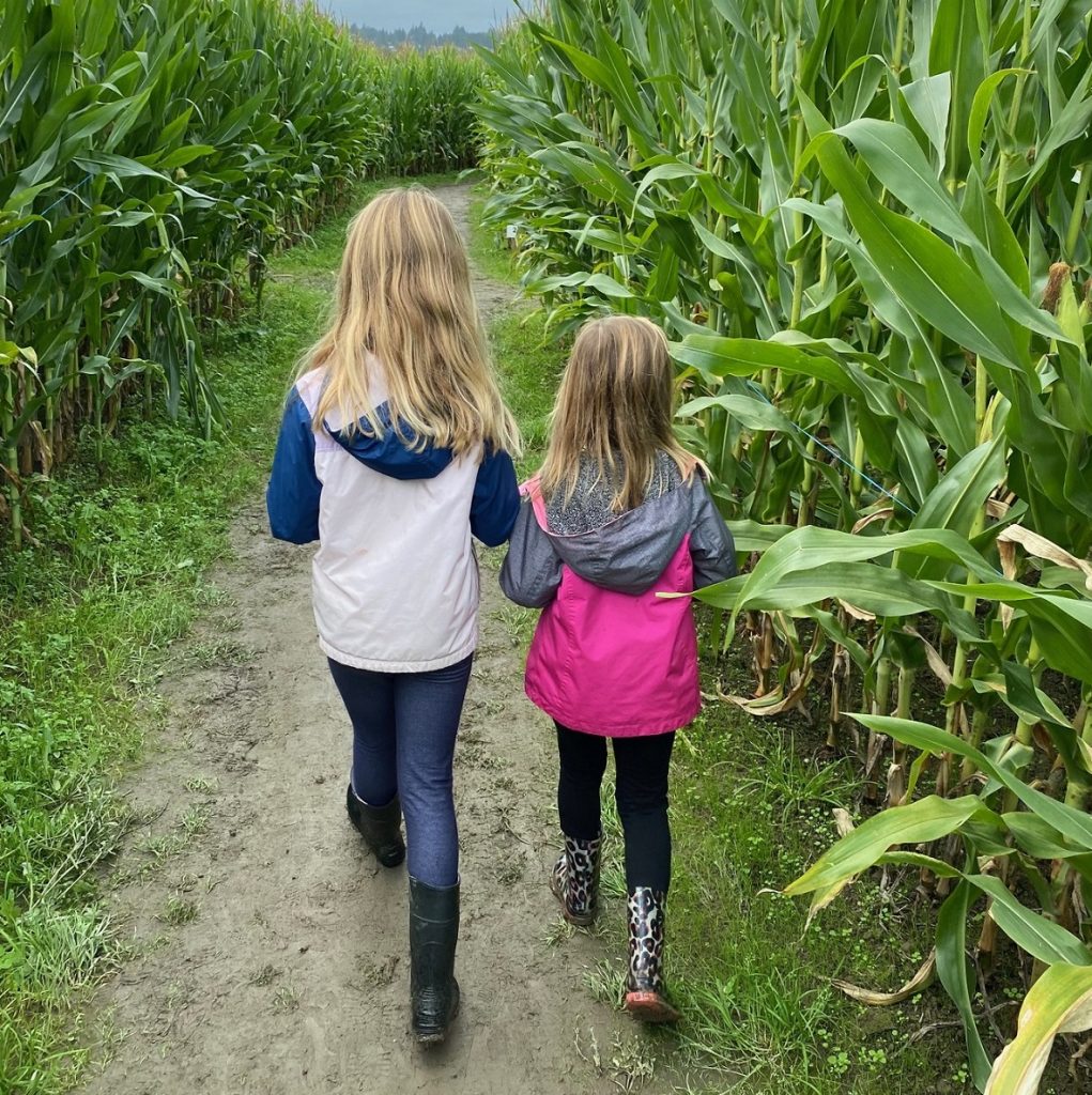 Snohomish County pumpkin patch