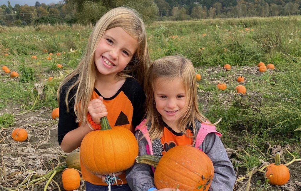 Snohomish County pumpkin patch