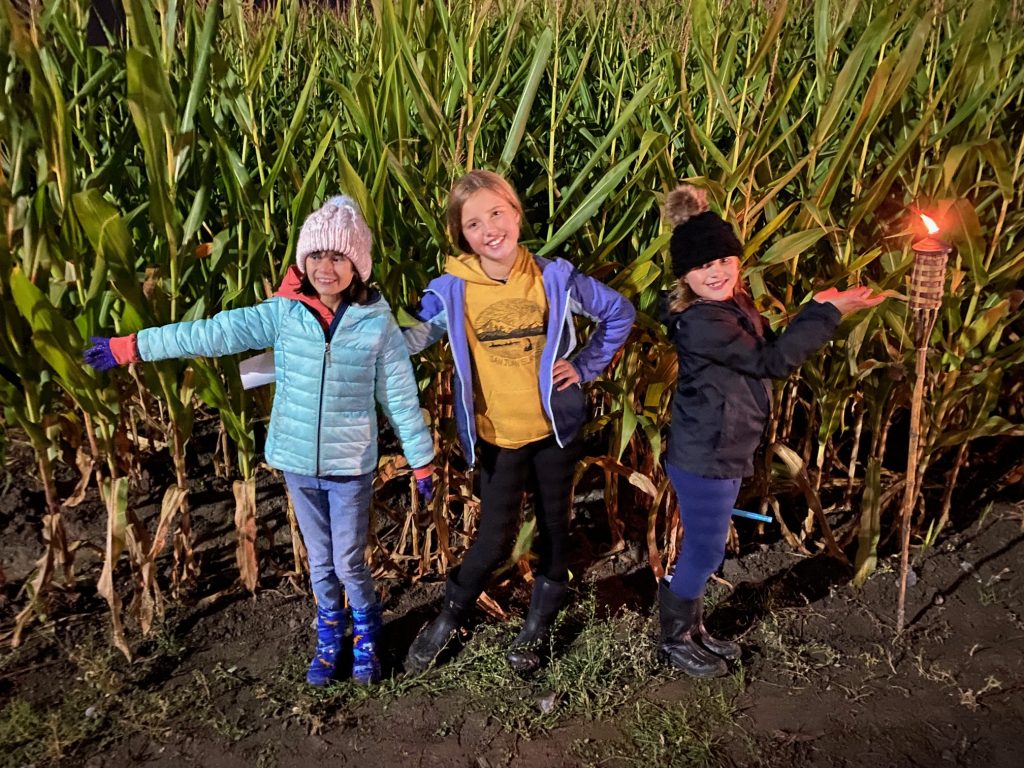 Snohomish County pumpkin patch