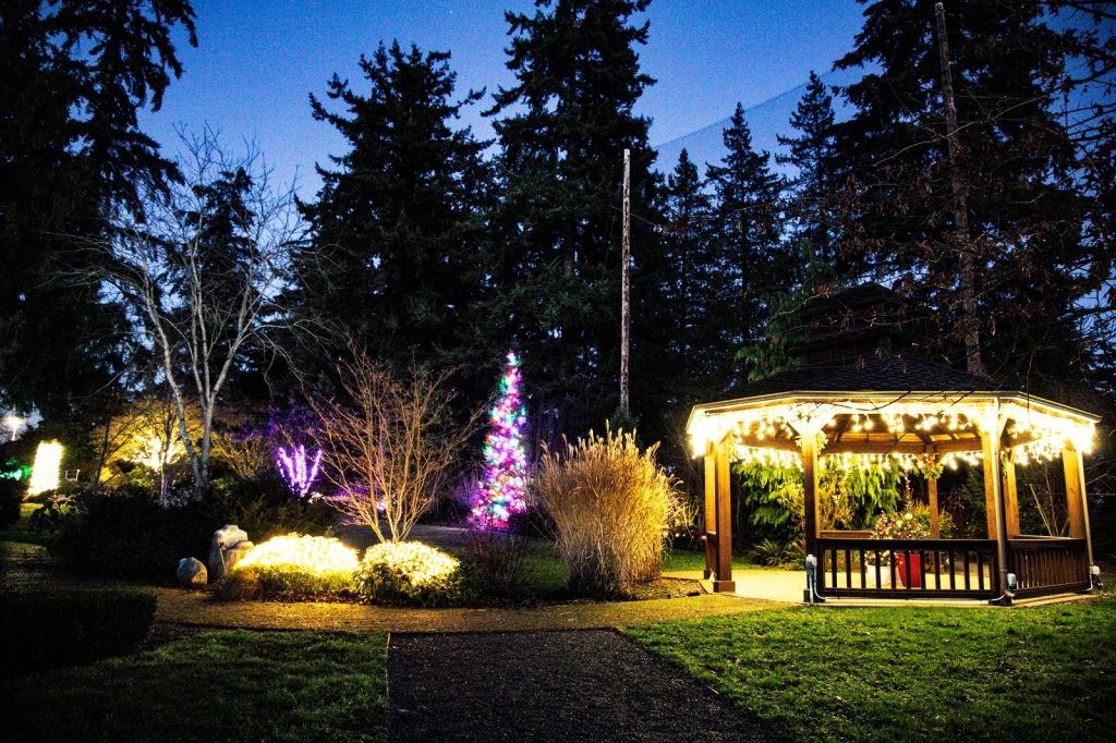 Snohomish Holiday Lights