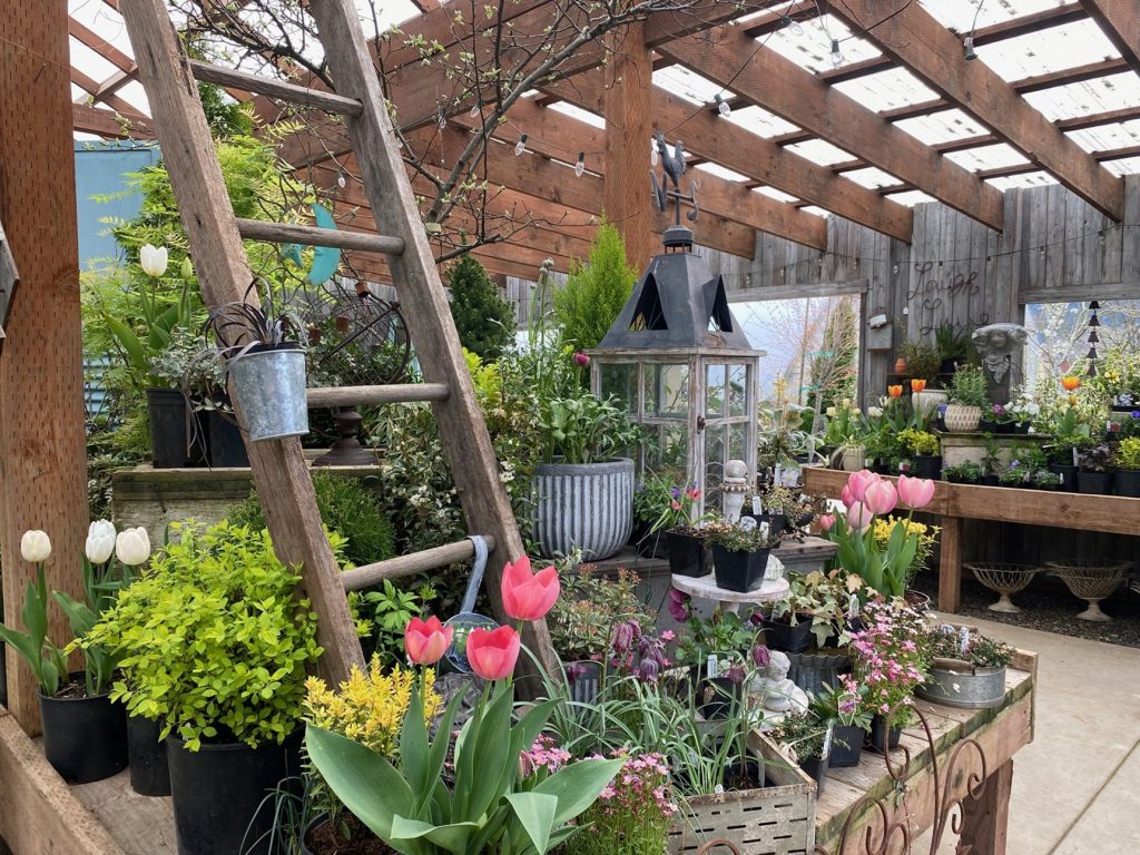 Garden Centers in Snohomish County