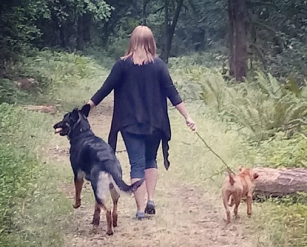Dog Friendly Hikes Near Snohomish County