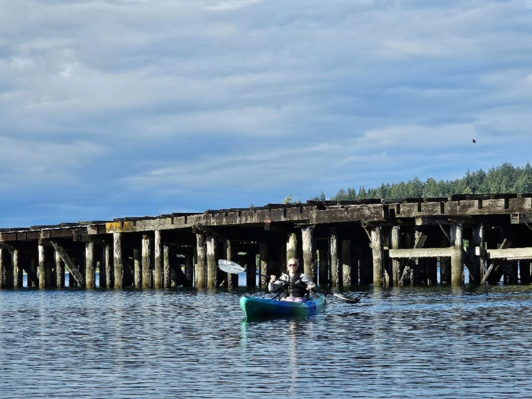 Woodard Bay Kayaking Olympia Lacey