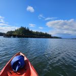 Woodard-Bay-Kayaking-Olympia-Lacey-14-1