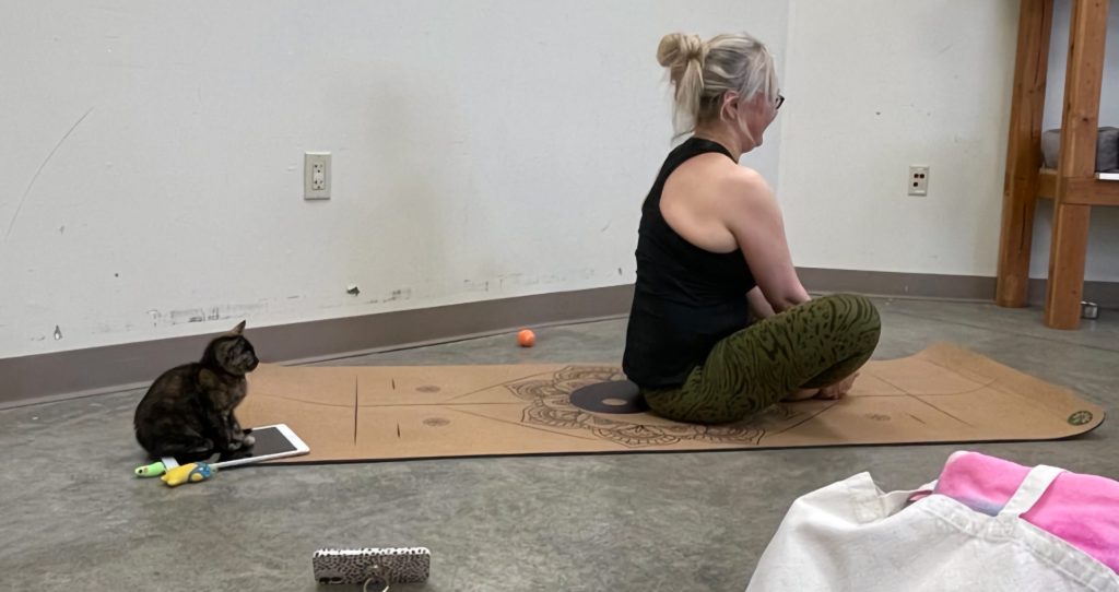 Cat Yoga at Everett Animal Shelter