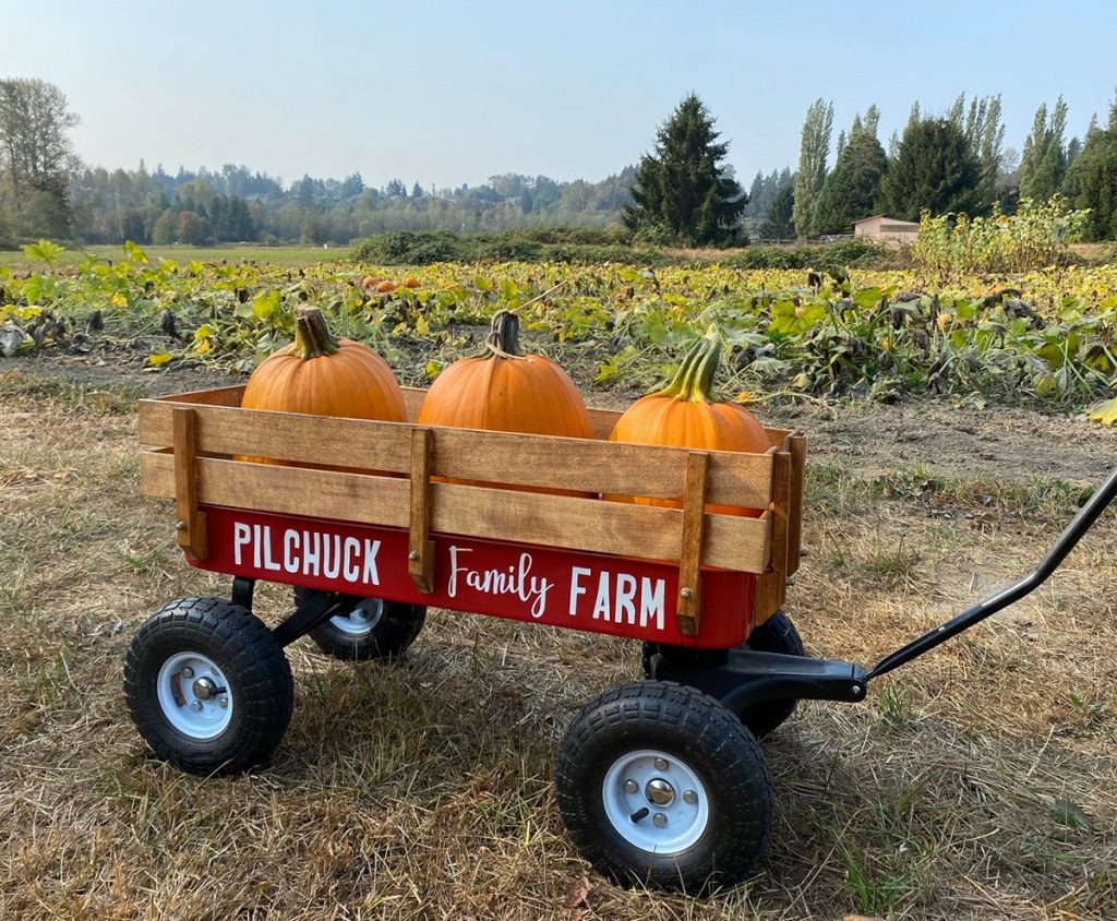 Snohomish Pumpkin Patches