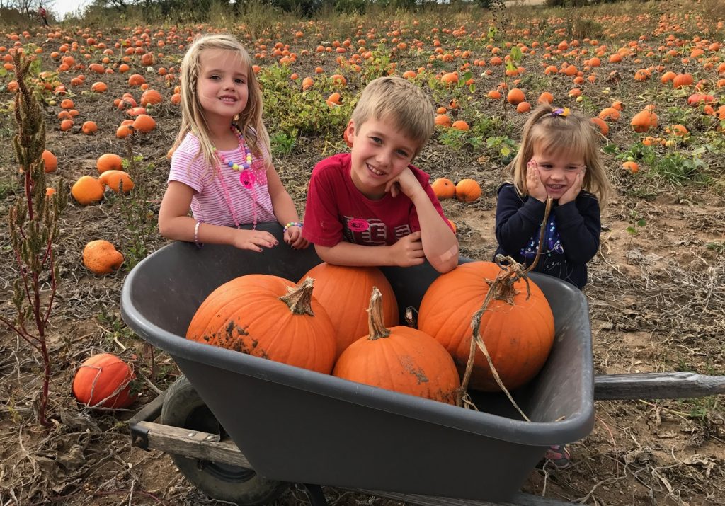 Snohomish Pumpkin Patches