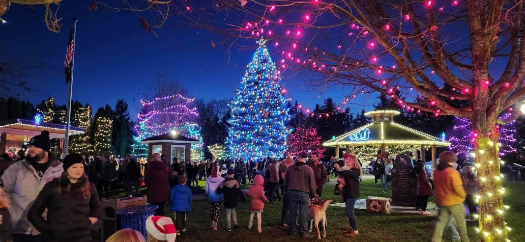 Snohomish County Christmas lights