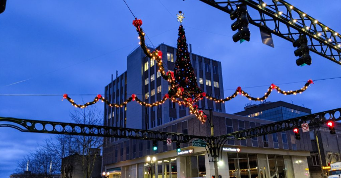 Snohomish County Christmas lights