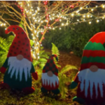 Evergreen Arboretum Snohomish County Christmas lights