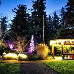 Evergreen Arboretum Snohomish County Winter Date Ideas