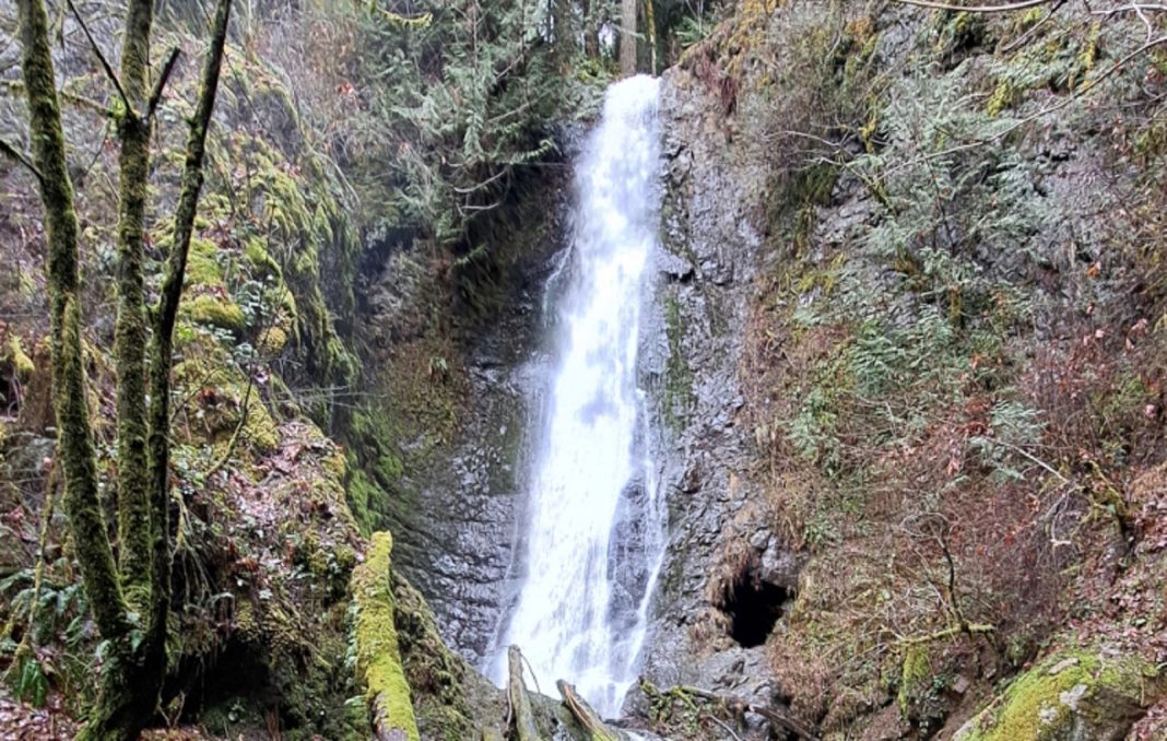 Where to Hike in the Rain Snohomish County