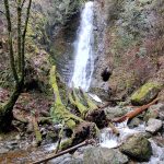 Explorer Falls Where to Hike in the Rain Snohomish County