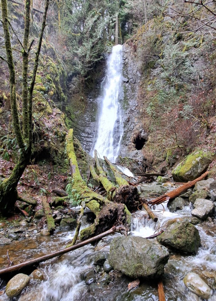 Where to Hike in the Rain Snohomish County