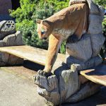 Where to Hike in the Rain Snohomish County Arlington mountain lion