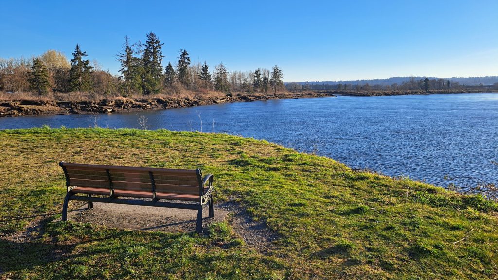 Snohomish River estuary walks