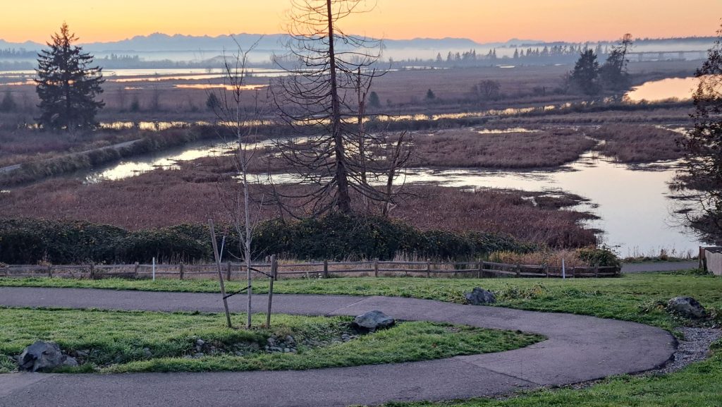 Snohomish River estuary walks