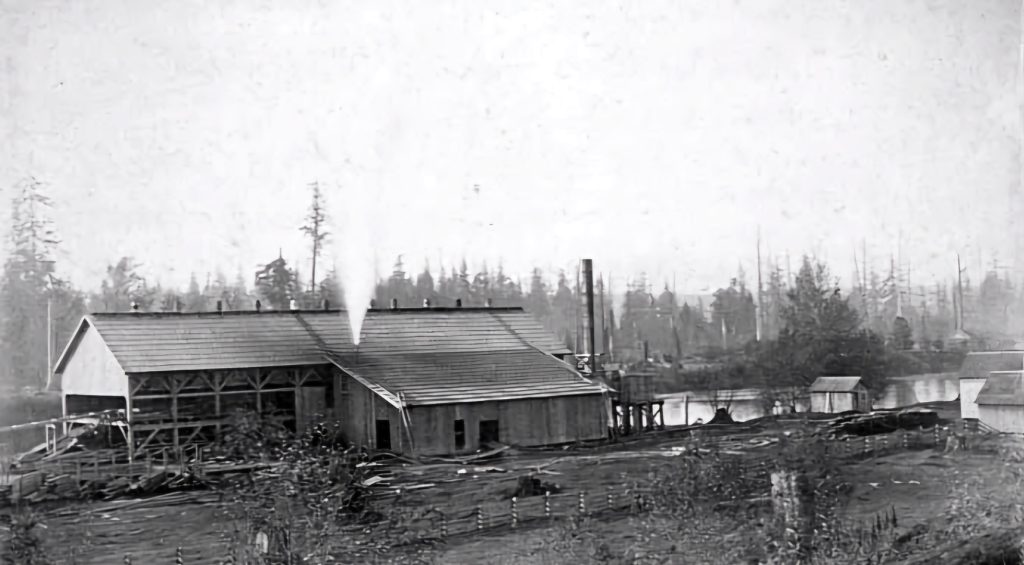 Logging History in Snohomish County