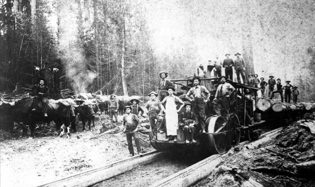 Logging History in Snohomish County