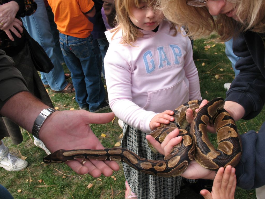 Kids Birthdays parties in Snohomish County