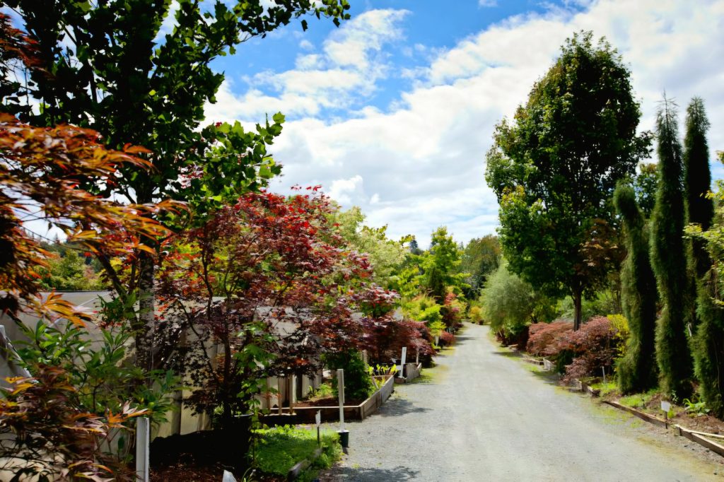 Snohomish County plant shops