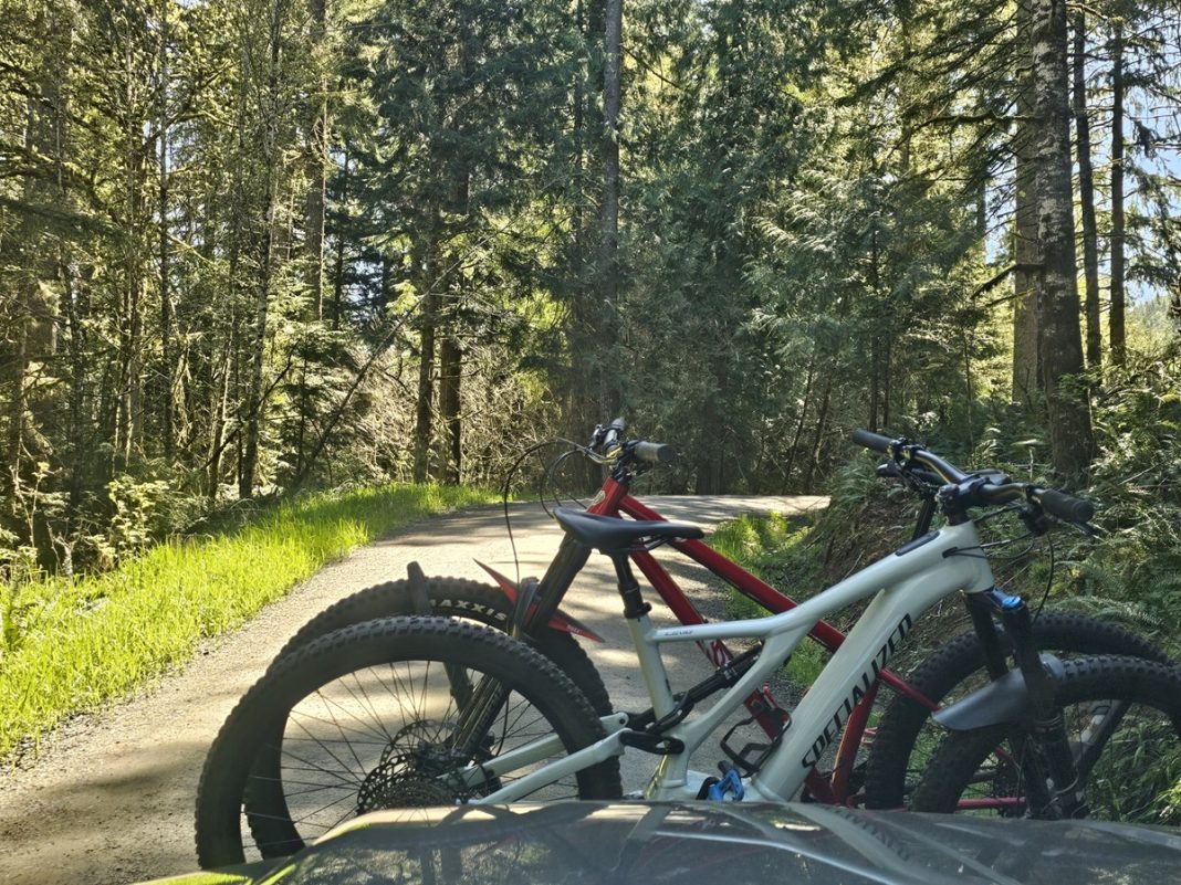 North Slope Trails Olympia