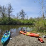 Black River LIttle Rock Washington – Take-out Black River