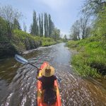 Black River LIttle Rock Washington straight stetch paddling