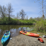 Kayaking near Olympia