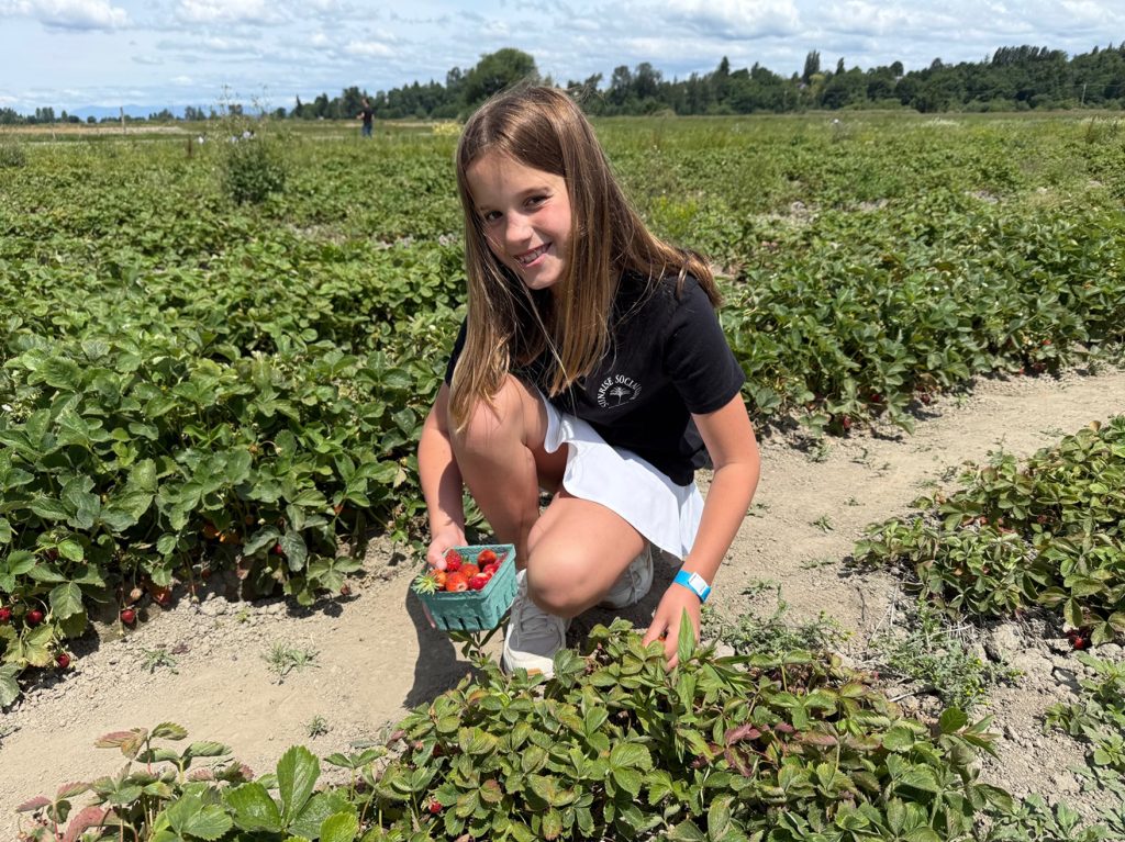 Swans Trail Farms Babies and Berries Festival
