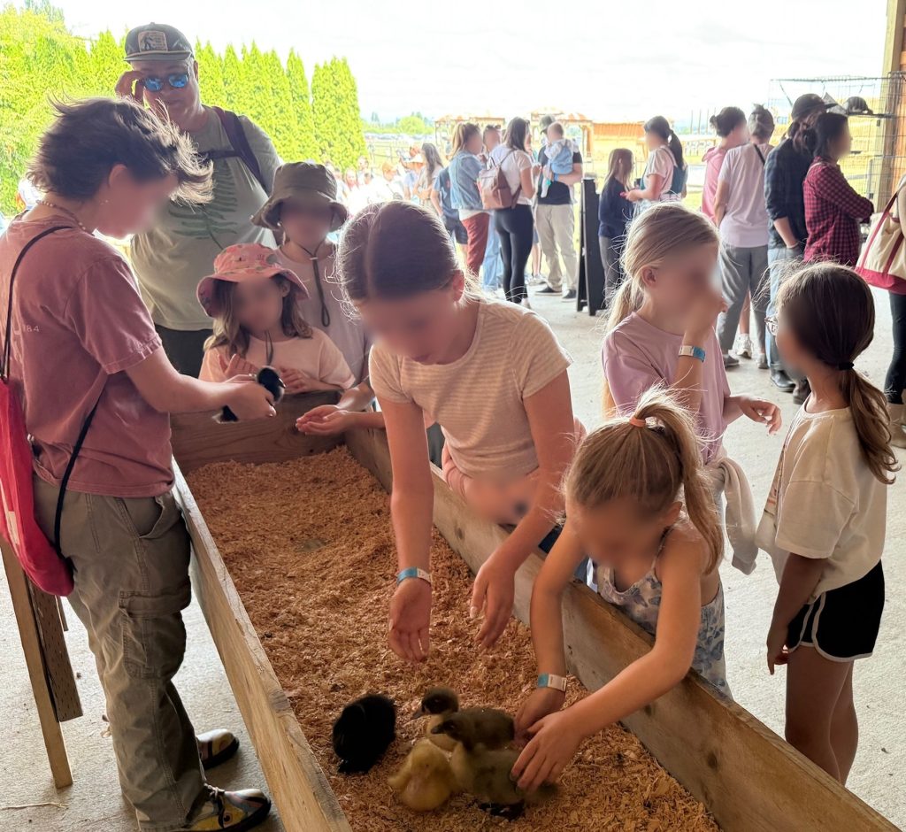 Swans Trail Farms Babies and Berries Festival