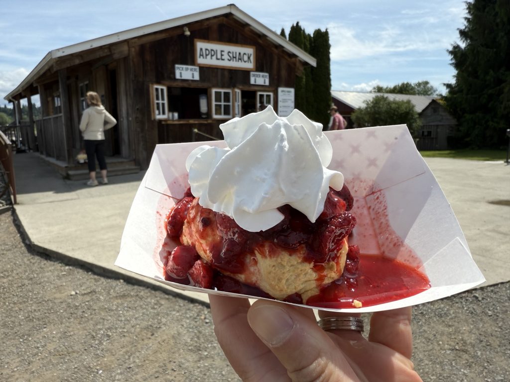 Swans Trail Farms Babies and Berries Festival