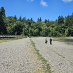 Tolmie State Park Thurston County Washington (10)