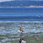 Tolmie State Park Thurston County Washington (11)