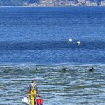Tolmie State Park Thurston County Washington (12)