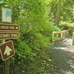 Tolmie State Park Thurston County Washington (15)