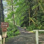 Tolmie State Park Thurston County Washington (3)