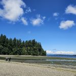 Tolmie State Park Thurston County Washington (5)