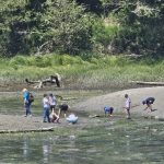 Tolmie State Park Thurston County Washington (7)