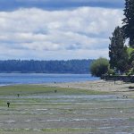 Tolmie State Park Thurston County Washington (8)