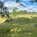 walking trails olympia mima mounds natural preserve thurston county 10