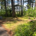 walking trails olympia mima mounds natural preserve thurston county 12