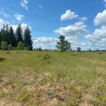 walking trails olympia mima mounds natural preserve thurston county