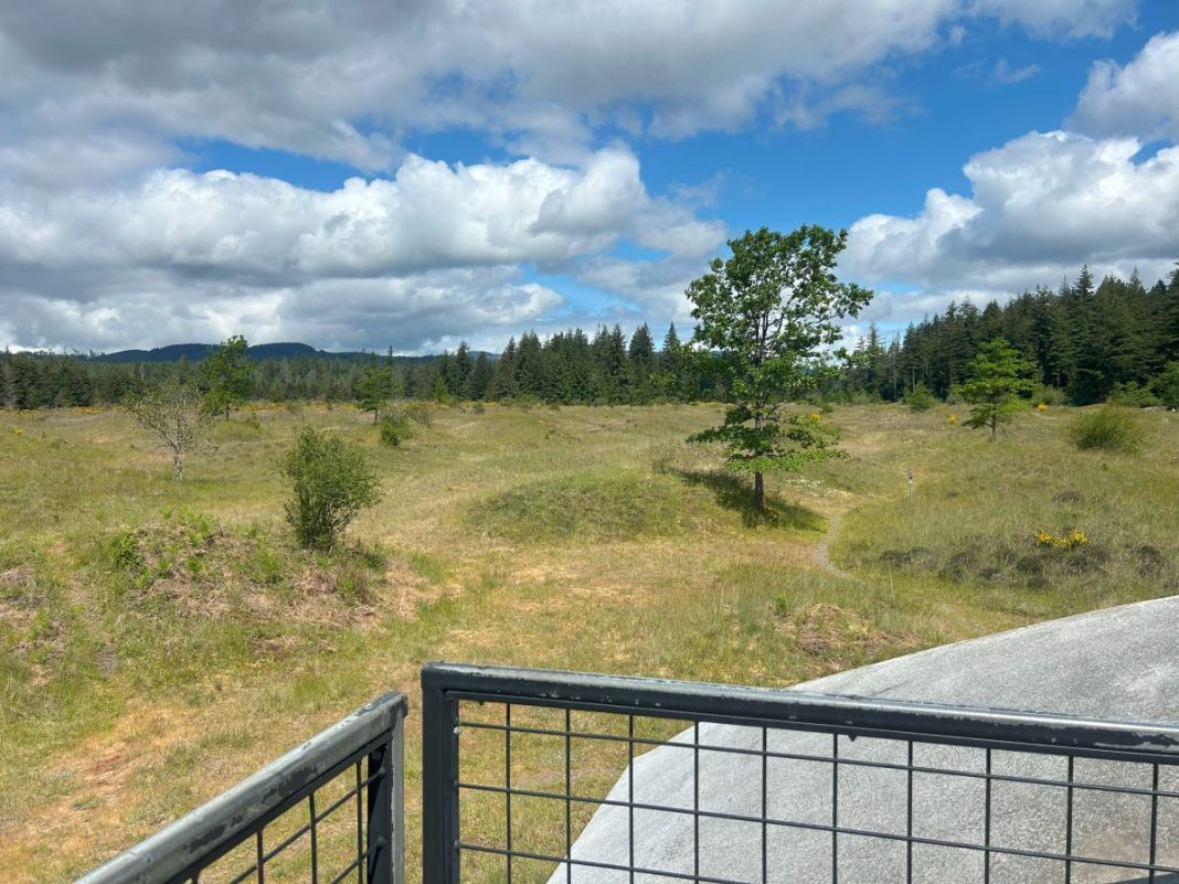 walking trails olympia