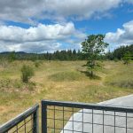 walking trails olympia mima mounds natural preserve thurston county 2