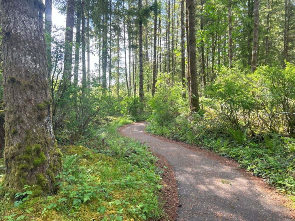walking trails olympia