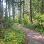 walking trails olympia mima mounds natural preserve thurston county 21